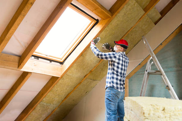 Reliable La Feria, TX Insulation Services Solutions